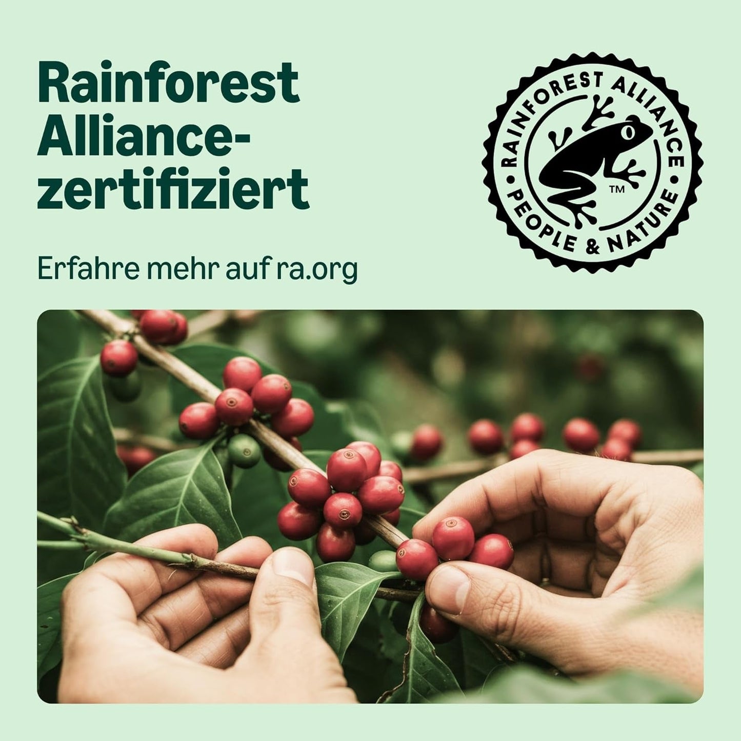 di Amazon Lungo Aluminium-Kaffeekapseln, compatibile con Nespresso, mittelgeröstet, 100 Stück (5 Packungen mit je 20 Stück) – Rainforest Alliance zertifiziert