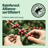 di Amazon Lungo Aluminium-Kaffeekapseln, compatibile con Nespresso, mittelgeröstet, 100 Stück (5 Packungen mit je 20 Stück) – Rainforest Alliance zertifiziert