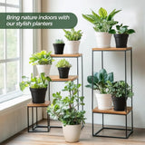 T4U Vaso da Fiori in Plastica con Sottovaso da 16 cm, Set di 6 Vasi per Erbe in Plastica con Fori di Drenaggio Multipli, Vaso Rotondo per Piante Succulente da Interno e da Balcone, Cactus, Bianco