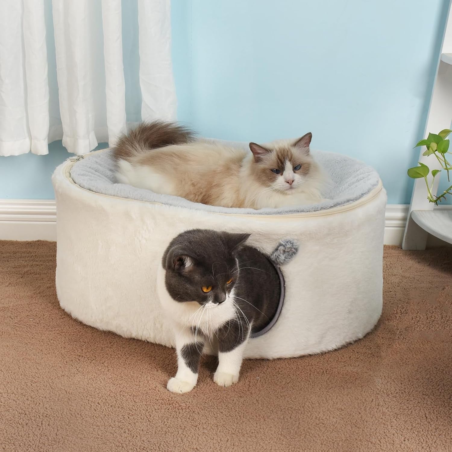 Coperte e Arredi, Animali Domestici, Grotte e Casette, Gatti, Letti per gatti, Gatti - Letti, materassi