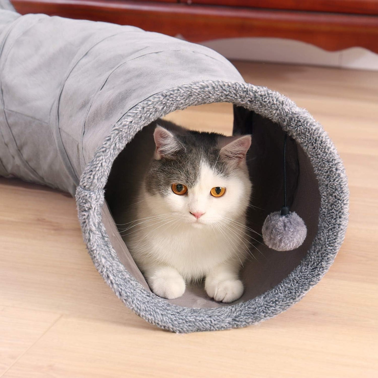 Animali domestici, gatti, gatti - letti, materassi, giocattoli, tunnel