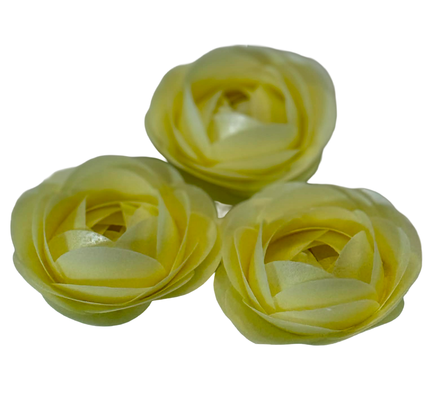 DulceVafa Decorazioni Cialda Commestibili Rose Gialle - Set Con 3 Fiori Napoletani, Diametro 8 Cm