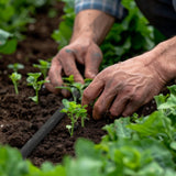 Relaxdays Tubo Gocciolante, Tubo per Irrigazione, Tubo per Irrigazione da 30 m, Irrigazione di Strati Alti e Siepi, Tubo per Irrigazione, Nero