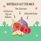Porridge Allos di fichi e lamponi non zuccherato | Porridge senza zucchero | Muesli biologico | Muesli alla frutta | Farina d'avena | Porridge a colazione | Cereali per la colazione | Vegano | Confezione da 6 (6 x 500 g)