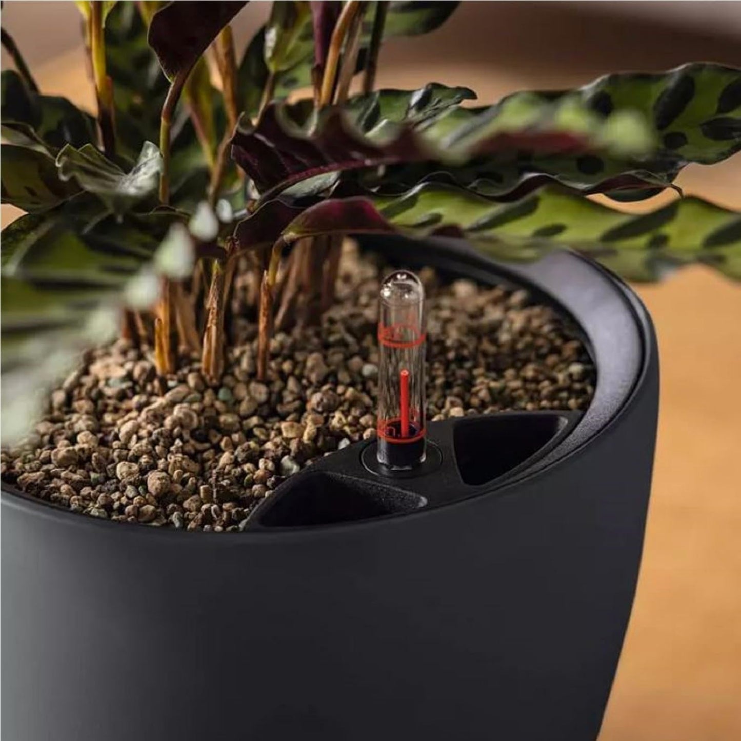 Fioriera LECHUZA Classico Color LS grigio ardesia con sistema di irrigazione |Ø 35 × 32 cm|14281