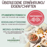 Pasta biologica Trivelline N.47 - 500g con farina di farro, farina di lenticchie e farina di quinoa - Ricca di proteine, fonte di fibre e proteine
