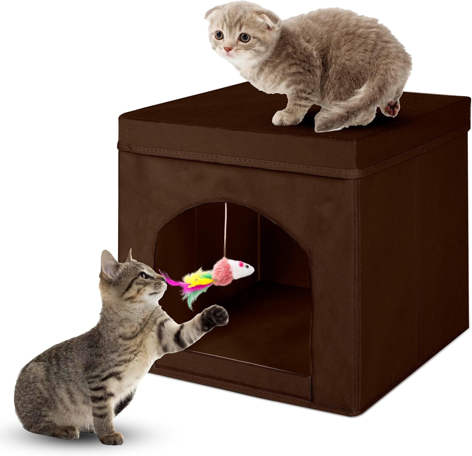 Coperte e Arredi, Animali Domestici, Grotte e Casette, Gatti, Letti per gatti, Gatti - Letti, materassi