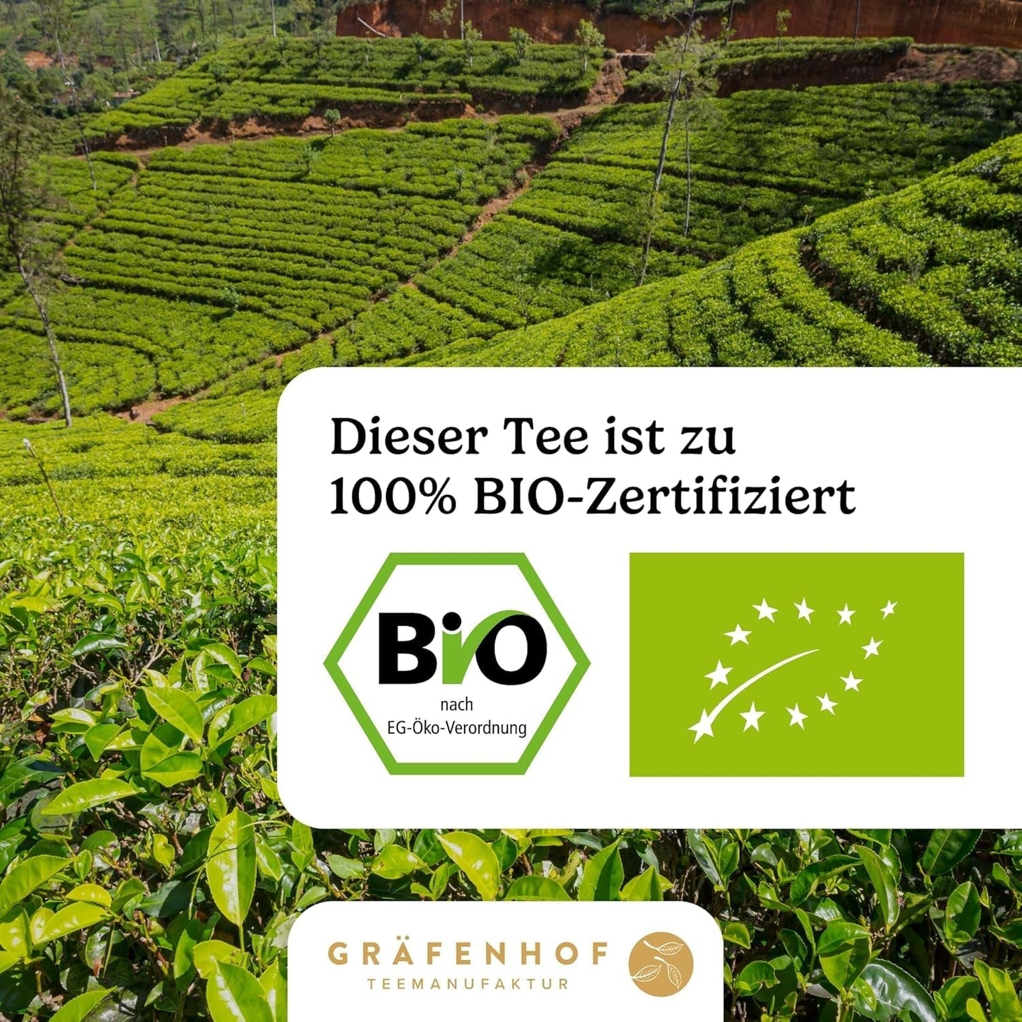 Tè Yerba Mate biologico L'originale tè Mate sfuso da 1 kg Alto contenuto di caffeina Non tostato Essiccato all'aria Testato in laboratorio Foglie di Mate Confezionato in Germania Qualità Premium Gräfenhof