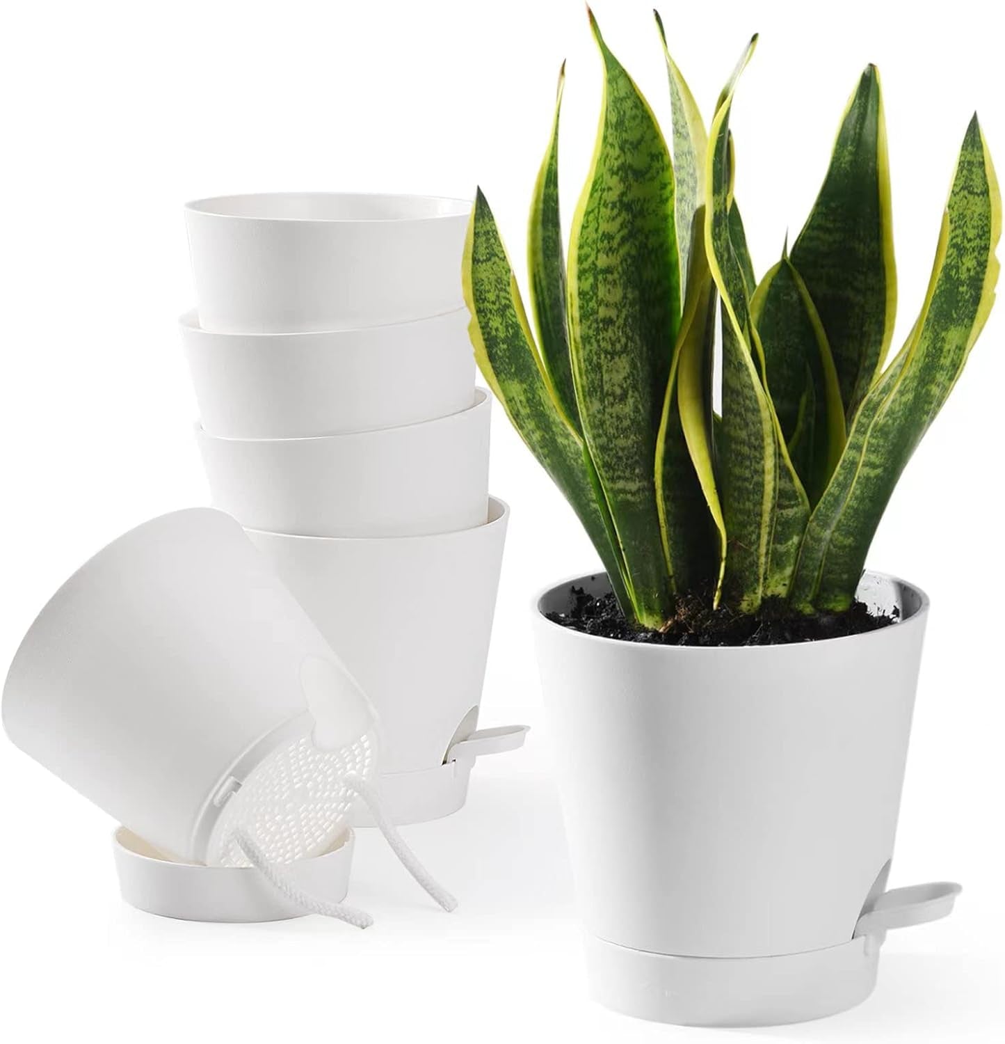 Vaso da fiori 6 pezzi 12,7 cm Fioriera autoirrigante Vaso da fiori per interni ed esterni ad alto drenaggio con vassoio per serbatoio e bordo per irrigazione Fioriera da giardino