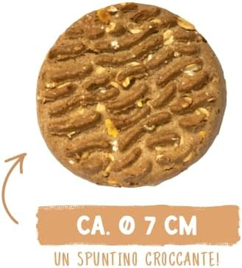 Monete di muesli di Sammy | Snack croccanti al forno per cani | 5 monete di muesli ai cereali per il tuo grande amico peloso (30 kg+) | 1 chilogrammo
