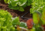 Raccordo a L per Gardena Micro-Drip 4,6 mm (3/16 pollici): per cambiare la direzione di distribuzione e le ali gocciolanti di 90 gradi, installazione senza pieghe, tecnologia di collegamento semplice e flessibile (13212-20)