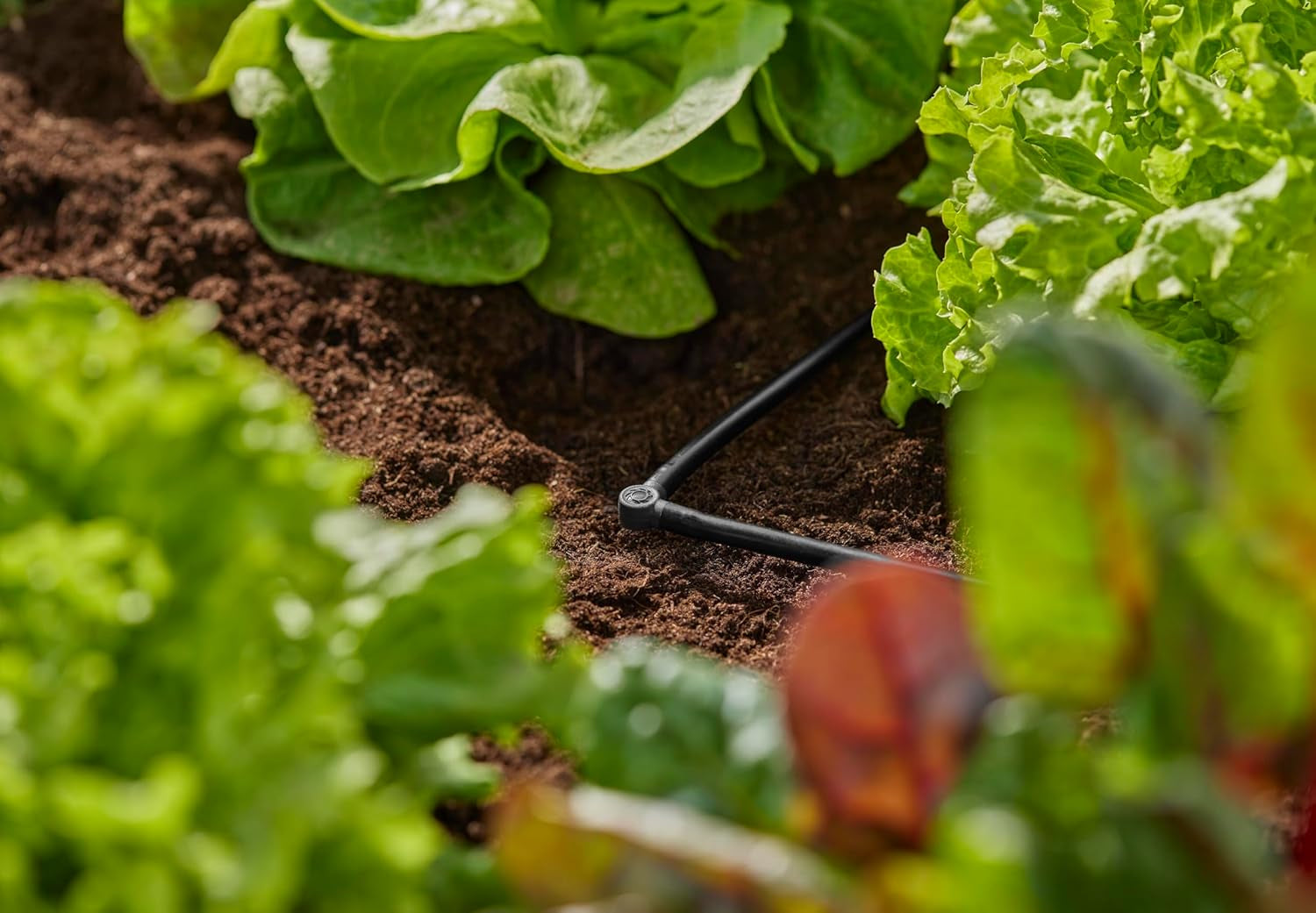 Raccordo a L per Gardena Micro-Drip 4,6 mm (3/16 pollici): per cambiare la direzione di distribuzione e le ali gocciolanti di 90 gradi, installazione senza pieghe, tecnologia di collegamento semplice e flessibile (13212-20)