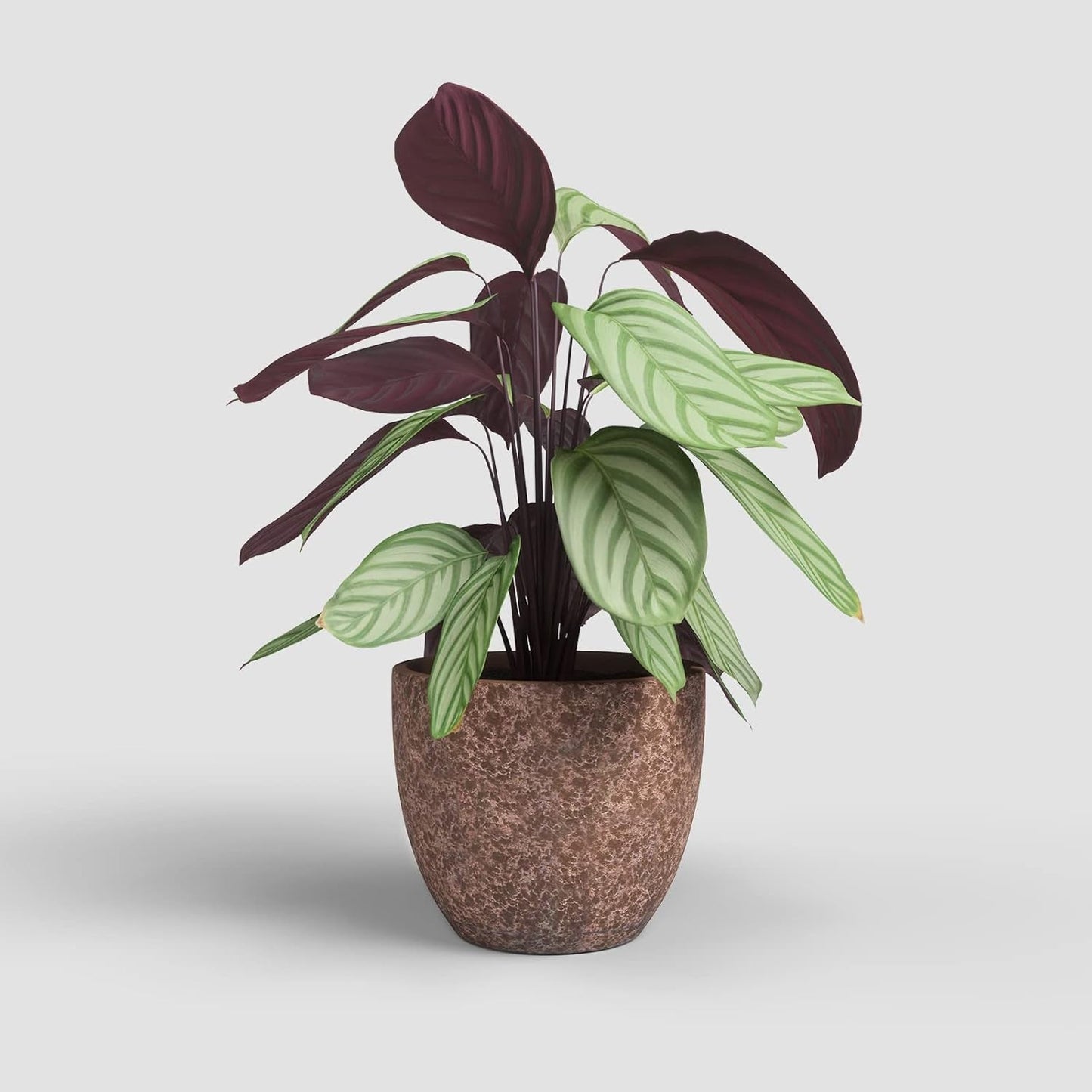 Artevasi Hestia Vasi da fiori, Vasi da fiori, Vasi decorativi, Trama complessa, Ceramica fatta a mano, Colore terracotta, 17 cm