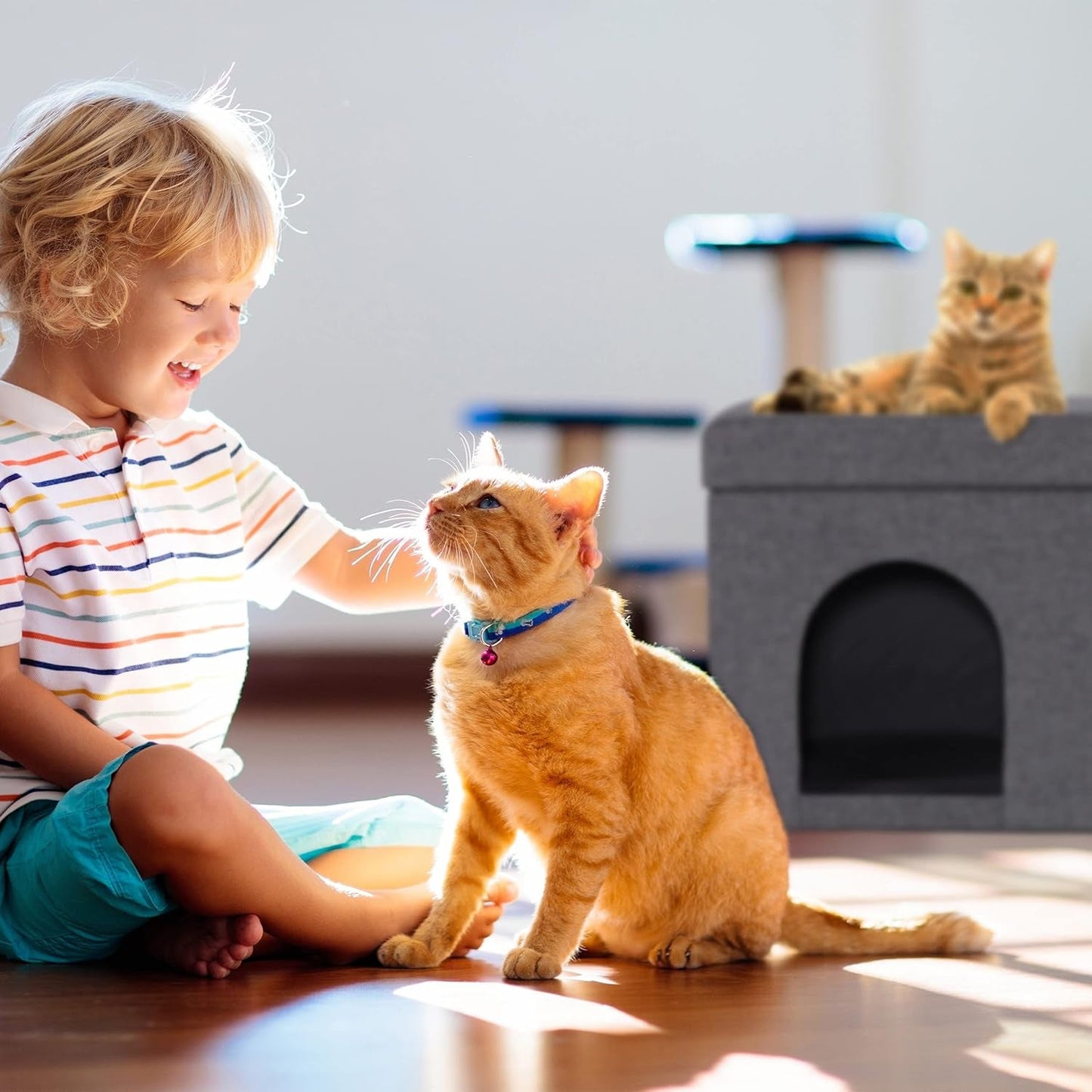 Coperte e Arredi, Animali Domestici, Grotte e Casette, Gatti, Letti per gatti, Gatti - Letti, materassi