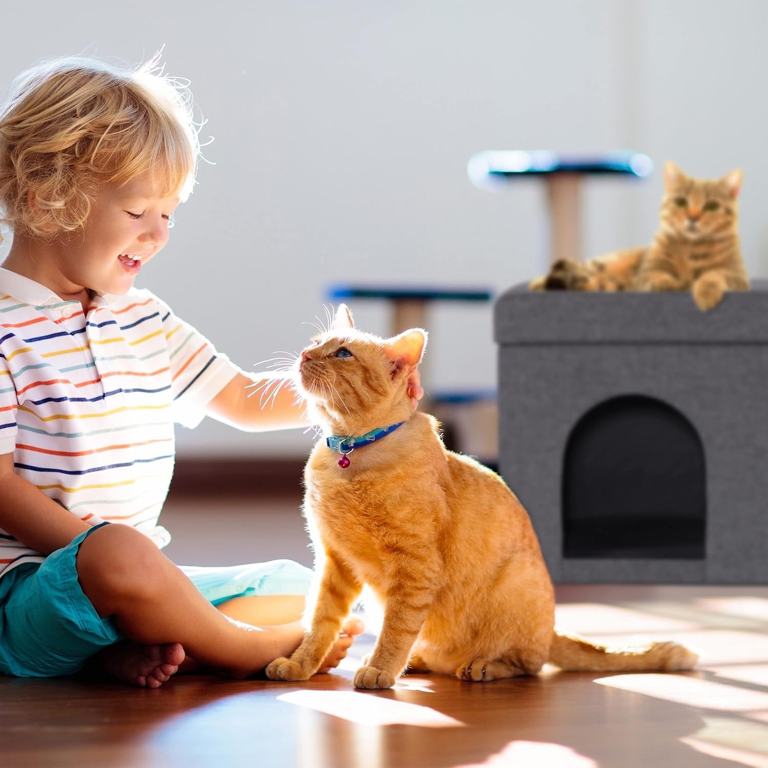 Coperte e Arredi, Animali Domestici, Grotte e Casette, Gatti, Letti per gatti, Gatti - Letti, materassi