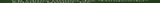 Tè verde, Polvere da sparo, Geroll (1 confezione da 500 g)