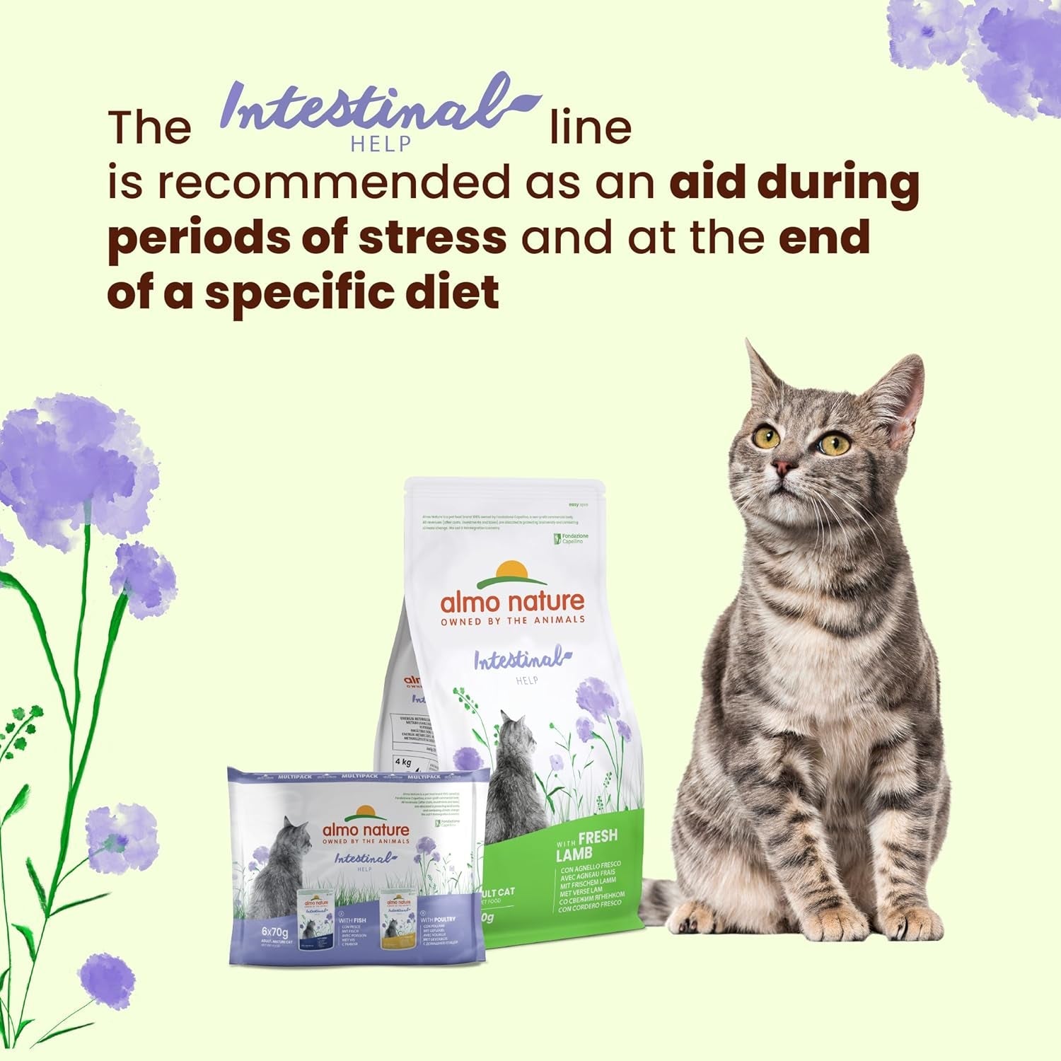 Almo Nature Functional - Intestinal Help - Alimento umido per gatti adulti e maturi con intestino sensibile - con pollame - sostiene il microbioma - 70 g (confezione da 30)