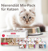 BEAPHAR – Pacchetto misto Renal Diet – Alimento completo per gatti con insufficienza renale cronica – Per supportare la funzionalità renale – 6 x 100 g
