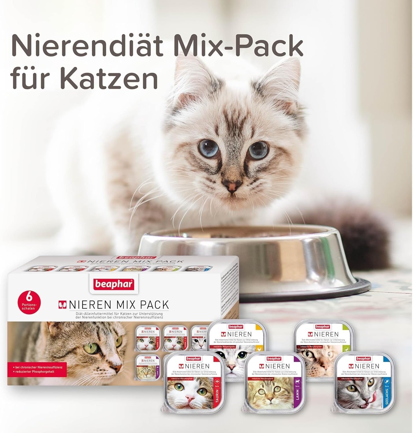 BEAPHAR – Pacchetto misto Renal Diet – Alimento completo per gatti con insufficienza renale cronica – Per supportare la funzionalità renale – 6 x 100 g