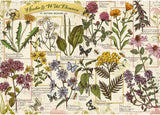 Puzzle 500 erbe medicinali Puzzle Naty Shop