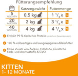 IAMS Delights Kitten Nassfutter - Multipack Katzenfutter mit Hunn in Sauce, alta qualità Futter für Junior Kätzchen von 1-12 Monate, 12 x 85 g