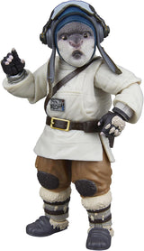 Star Wars Black Series Maestro Jedi Vernestra Rwoh, Acolytes Action Figure da collezione (15 Cm) Action figures Naty Shop Sw Bl Mix