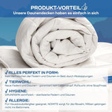 Allnights - Piumino leggero e confortevole 135X200 100% piume e piumini nuovi, adatto a chi soffre di allergie, lavabile fino a 60°C, made in Germany Piumini e trapunte Naty Shop