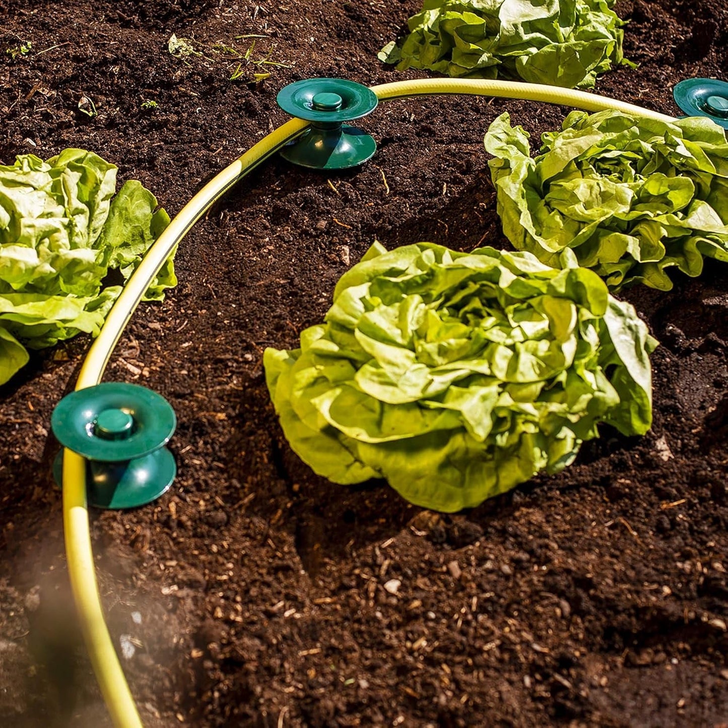 Set di 3 guide per tubo, verde, 24 x 9 cm | Tubo da giardino e guidacavo con ancoraggio a terra | Avvolgitubo per proteggere aiuole e muri di casa | Avvolgitubo per tubo e cavo da giardino