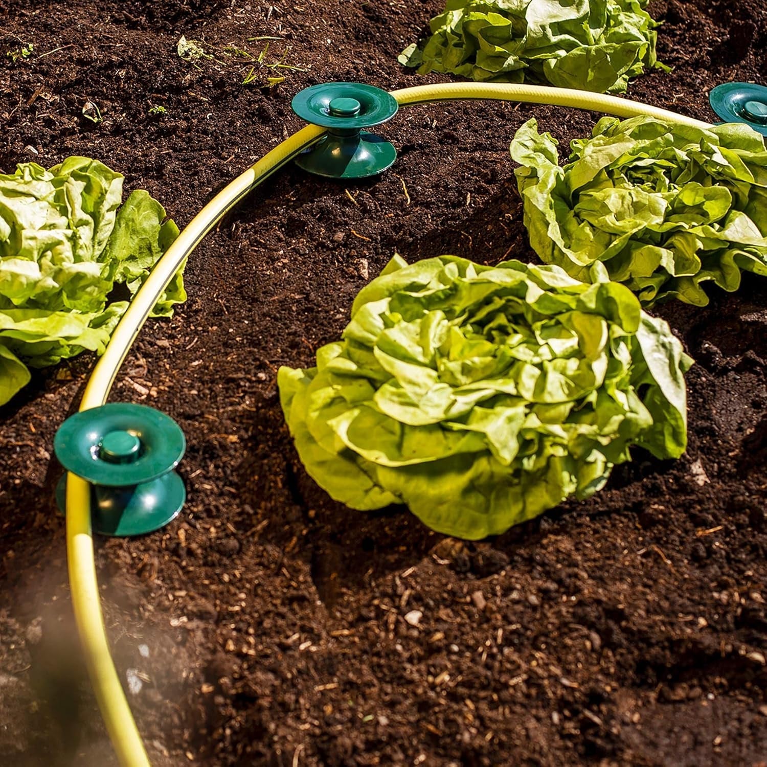 Set di 3 guide per tubo, verde, 24 x 9 cm | Tubo da giardino e guidacavo con ancoraggio a terra | Avvolgitubo per proteggere aiuole e muri di casa | Avvolgitubo per tubo e cavo da giardino