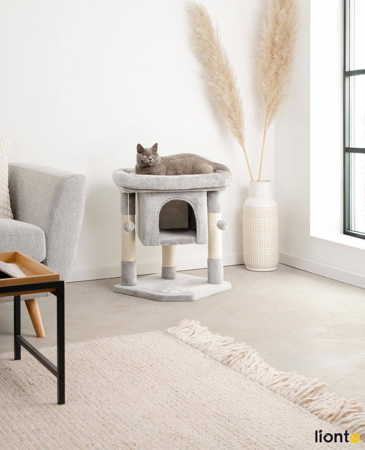 Coperte e Mobili, Animali Domestici, Gatti, Letti per gatti, Tiragraffi, Gatti - Letti, Materassi