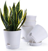 Vaso da fiori 6 pezzi 12,7 cm Fioriera autoirrigante Vaso da fiori per interni ed esterni ad alto drenaggio con vassoio per serbatoio e bordo per irrigazione Fioriera da giardino