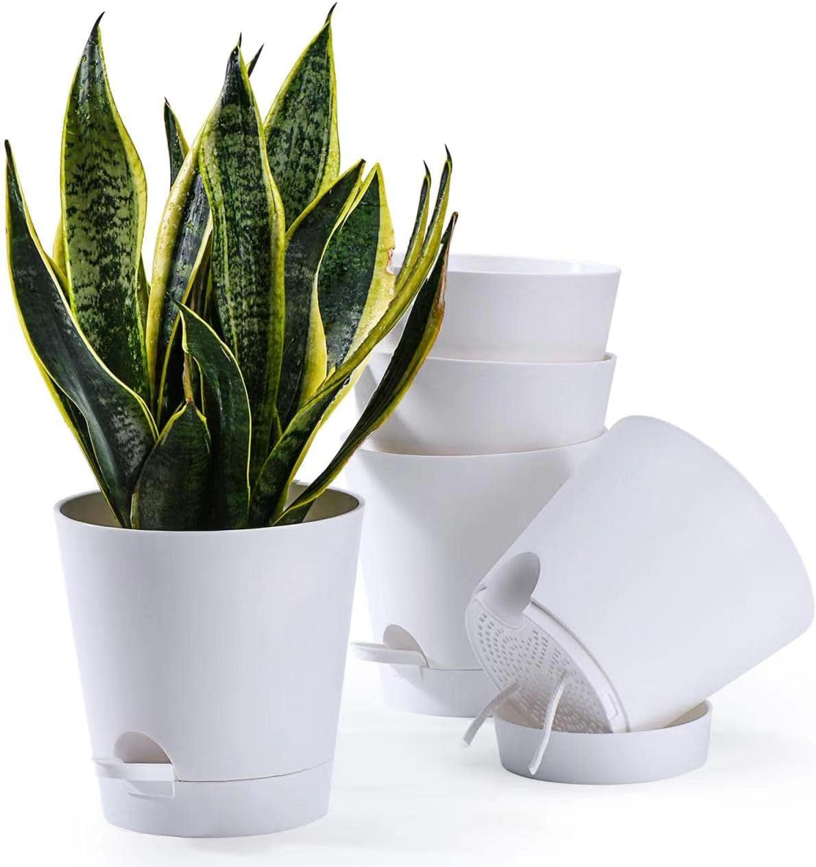 Vaso da fiori 6 pezzi 12,7 cm Fioriera autoirrigante Vaso da fiori per interni ed esterni ad alto drenaggio con vassoio per serbatoio e bordo per irrigazione Fioriera da giardino