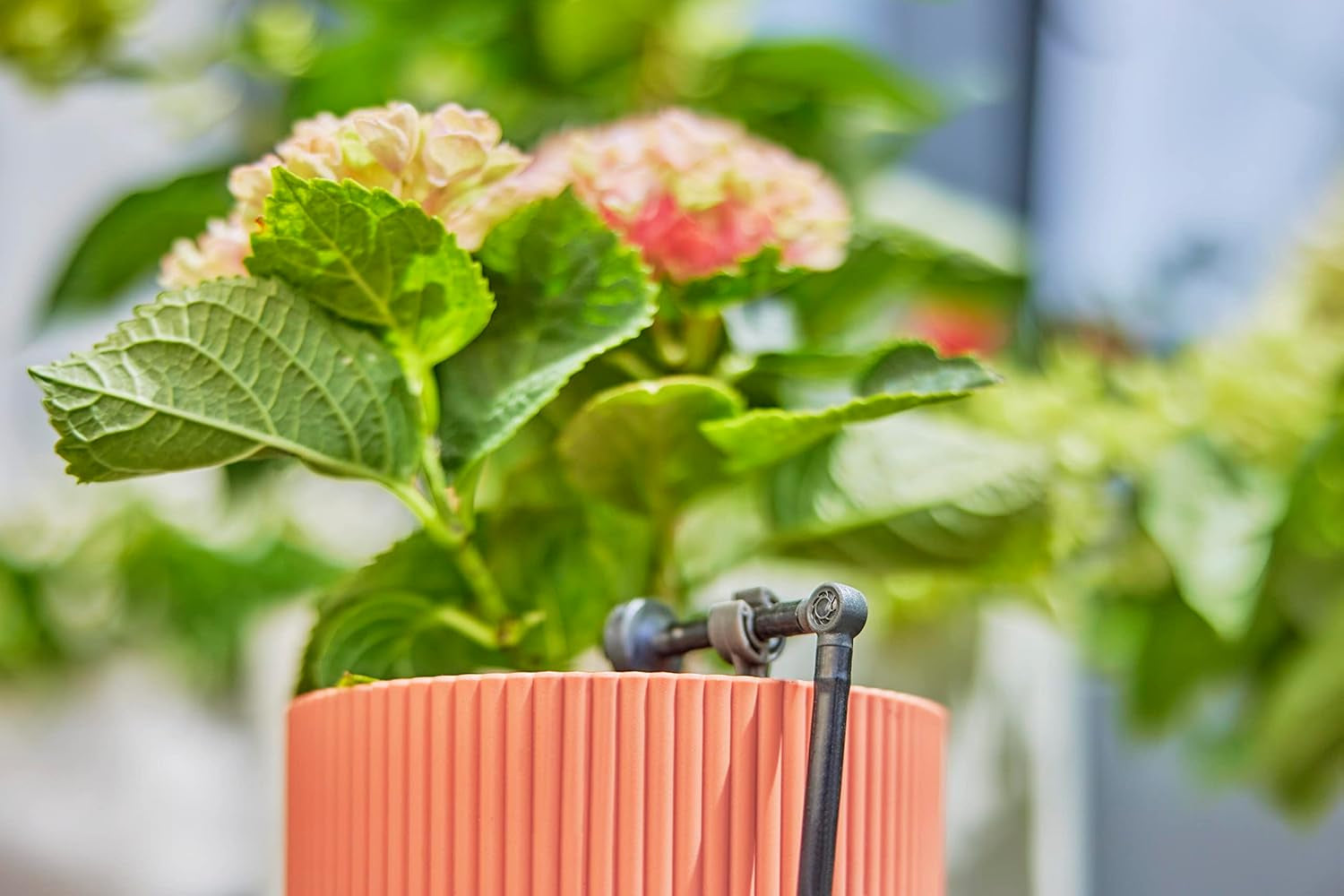 Raccordo a L per Gardena Micro-Drip 4,6 mm (3/16 pollici): per cambiare la direzione di distribuzione e le ali gocciolanti di 90 gradi, installazione senza pieghe, tecnologia di collegamento semplice e flessibile (13212-20)