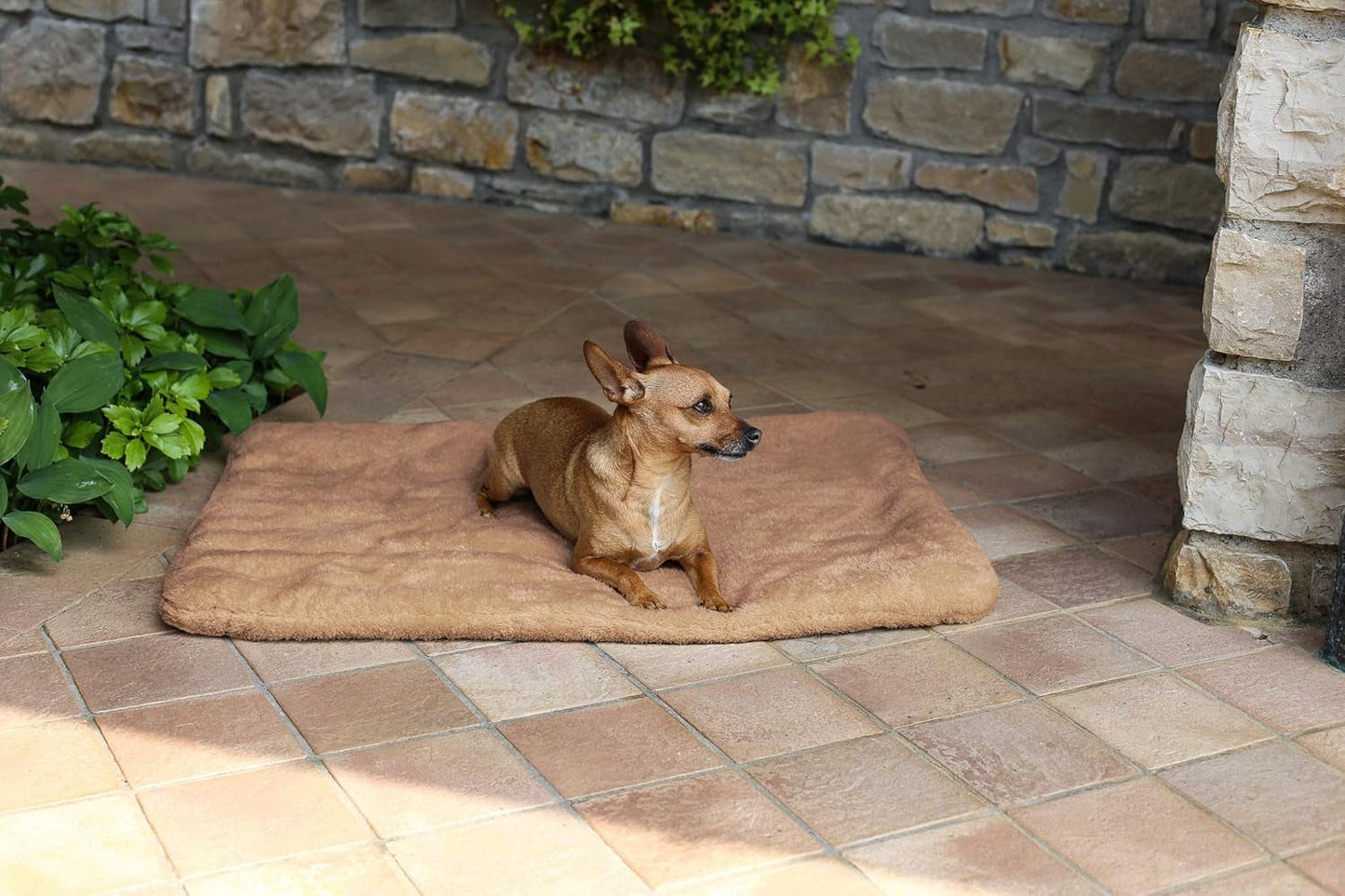 Sogni E Capricci Tappetino Super Soft, Crema, 104X75CM, Poliestere, Coperte e Trapunte Naty Shop Marrone 62X50Cm