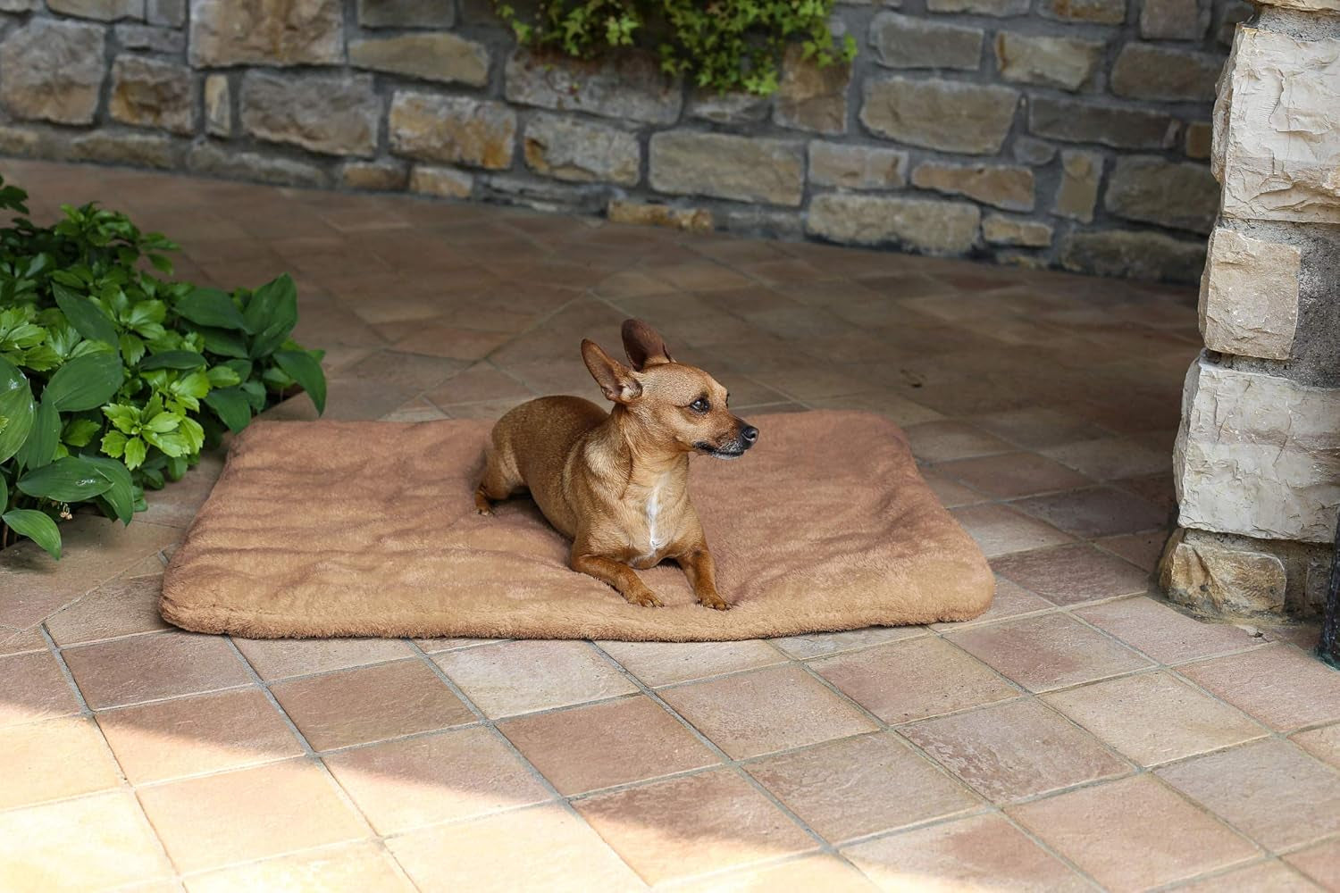 Sogni E Capricci Tappetino Super Soft, Crema, 104X75CM, Poliestere, Coperte e Trapunte Naty Shop Marrone 62X50Cm