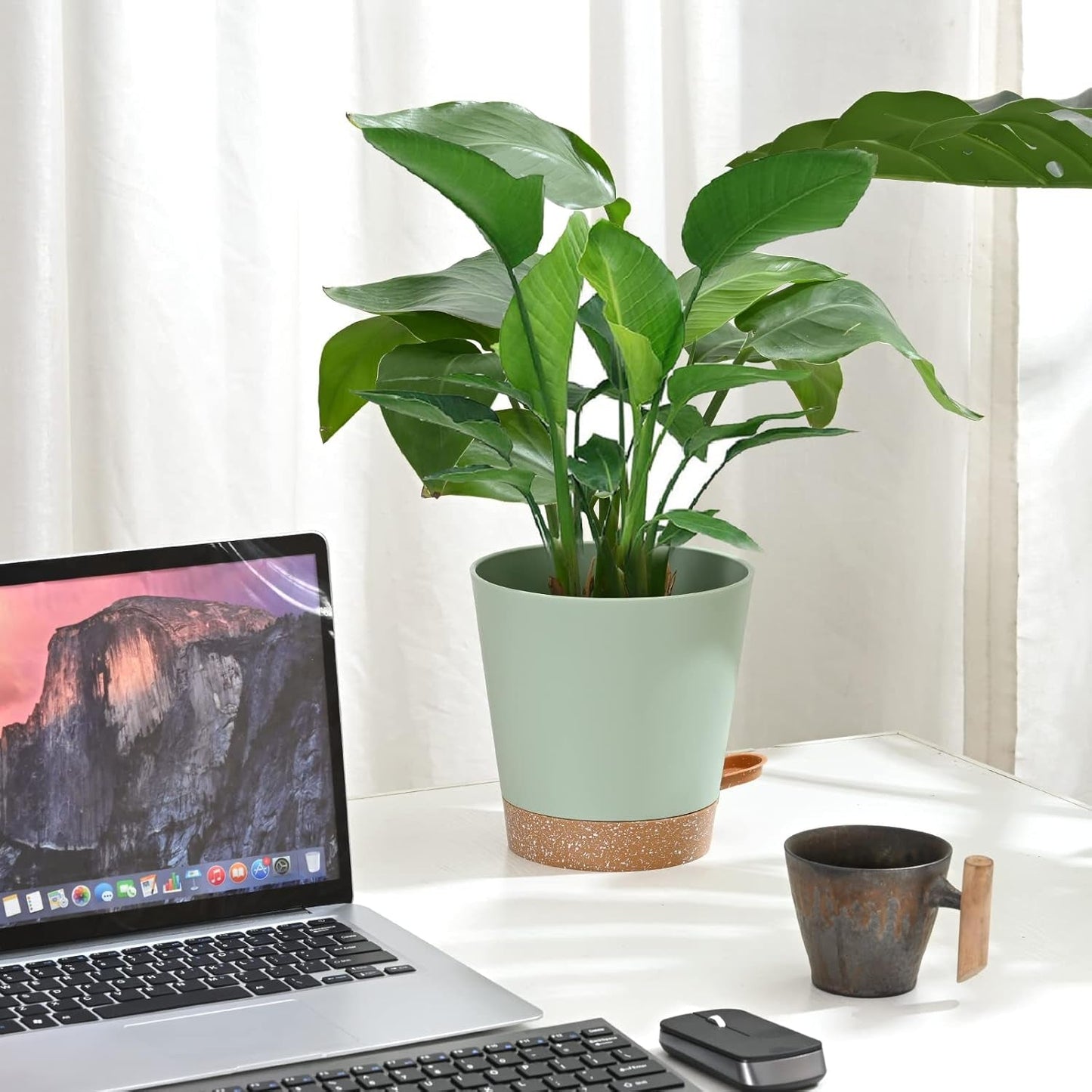 Vaso da fiori 6 pezzi 12,7 cm Fioriera autoirrigante Vaso da fiori per interni ed esterni ad alto drenaggio con vassoio per serbatoio e bordo per irrigazione Fioriera da giardino