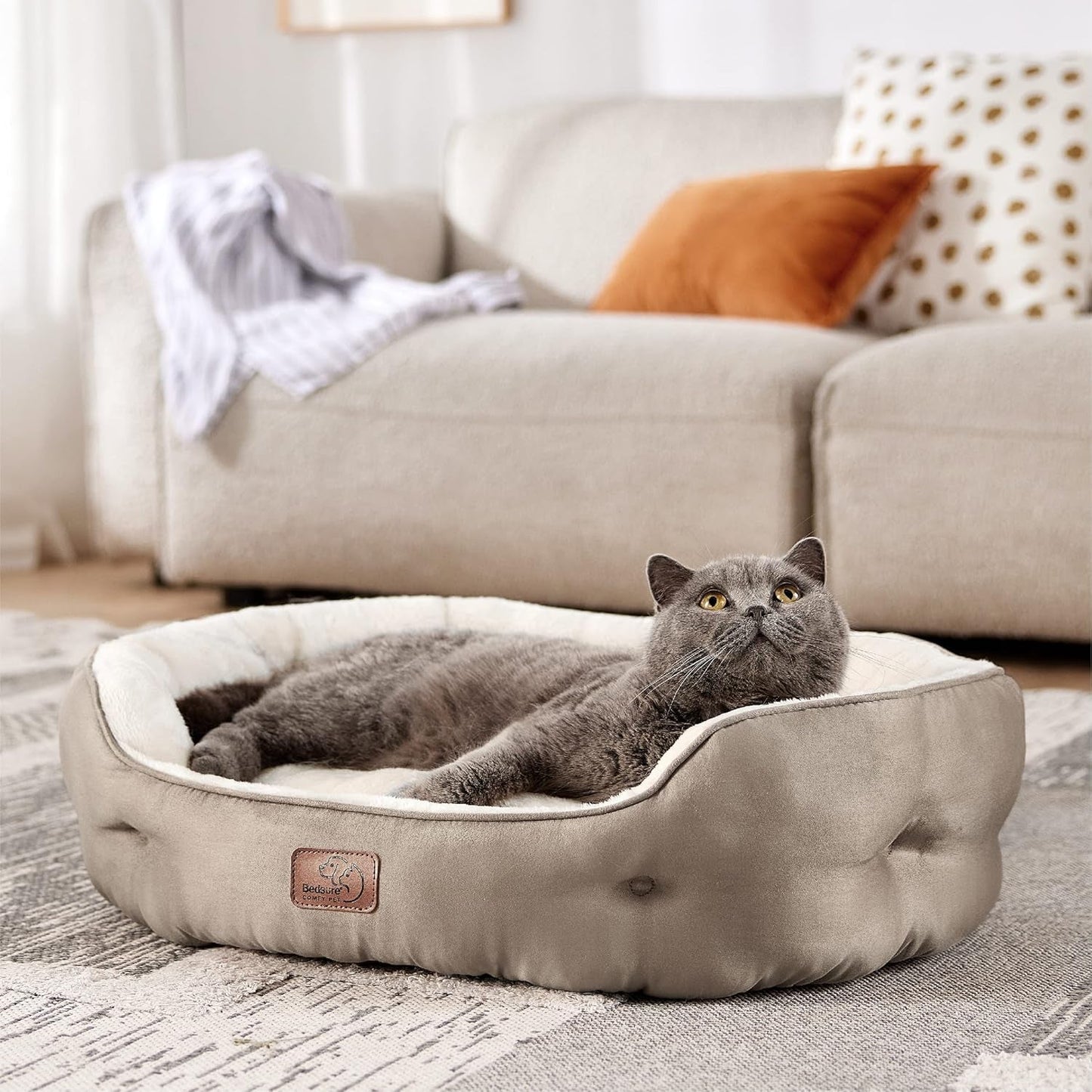 Letti e Divani, Coperte e Arredi, Animali Domestici, Gatti, Letti per gatti, Gatti - Letti, materassi