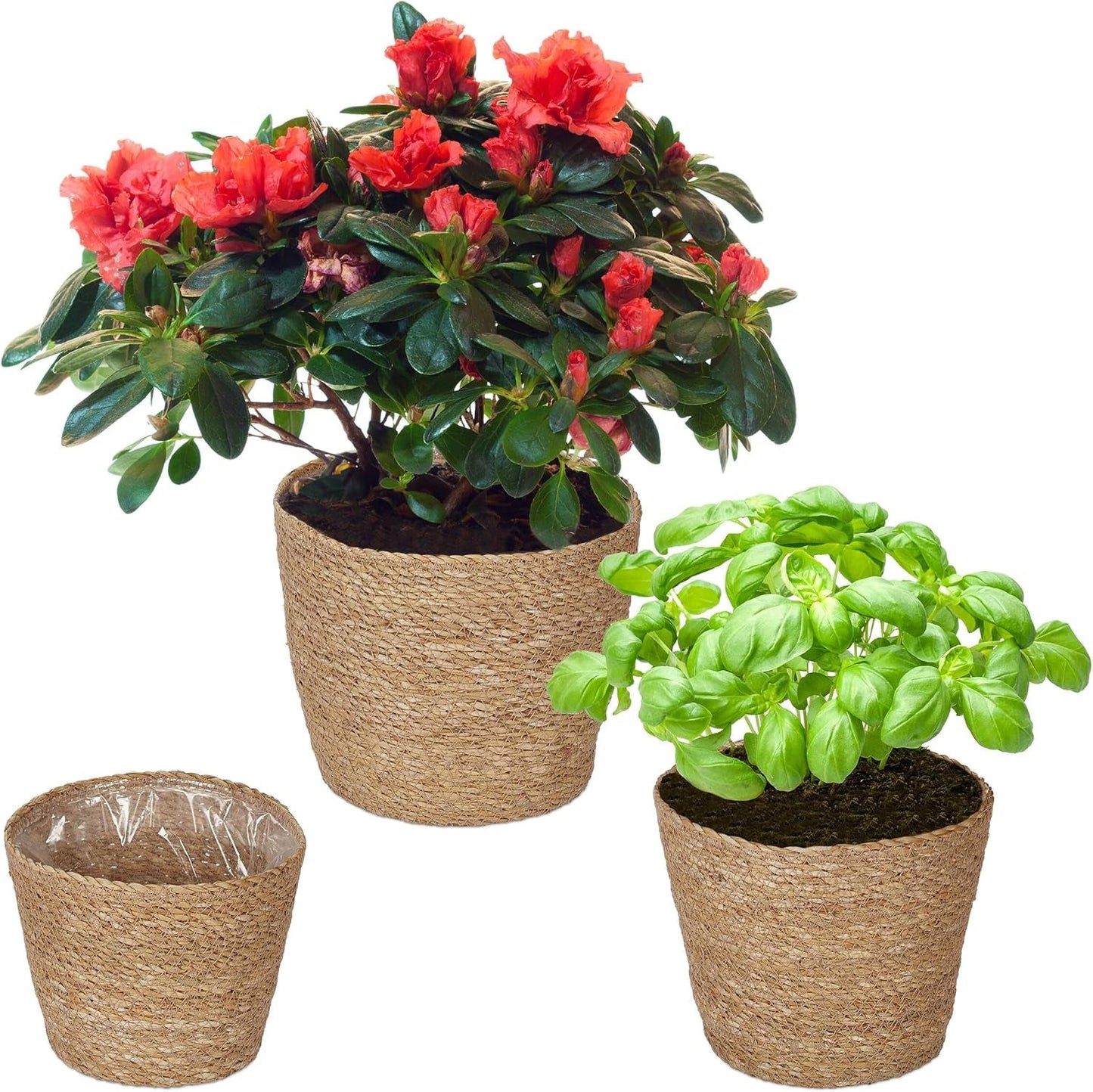 Relaxdays Set di 3 vasi da fiori in alga marina, cesto rotondo per fiori ed erbe aromatiche con fioriera in pellicola, 3 misure, colore naturale