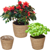 Relaxdays Set di 3 vasi da fiori in alga marina, cesto rotondo per fiori ed erbe aromatiche con fioriera in pellicola, 3 misure, colore naturale
