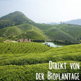 KLUIZ Gyokuro Tokiwa biologico - Primo raccolto a mano - Tè verde giapponese I 100 grammi I Tè verde biologico