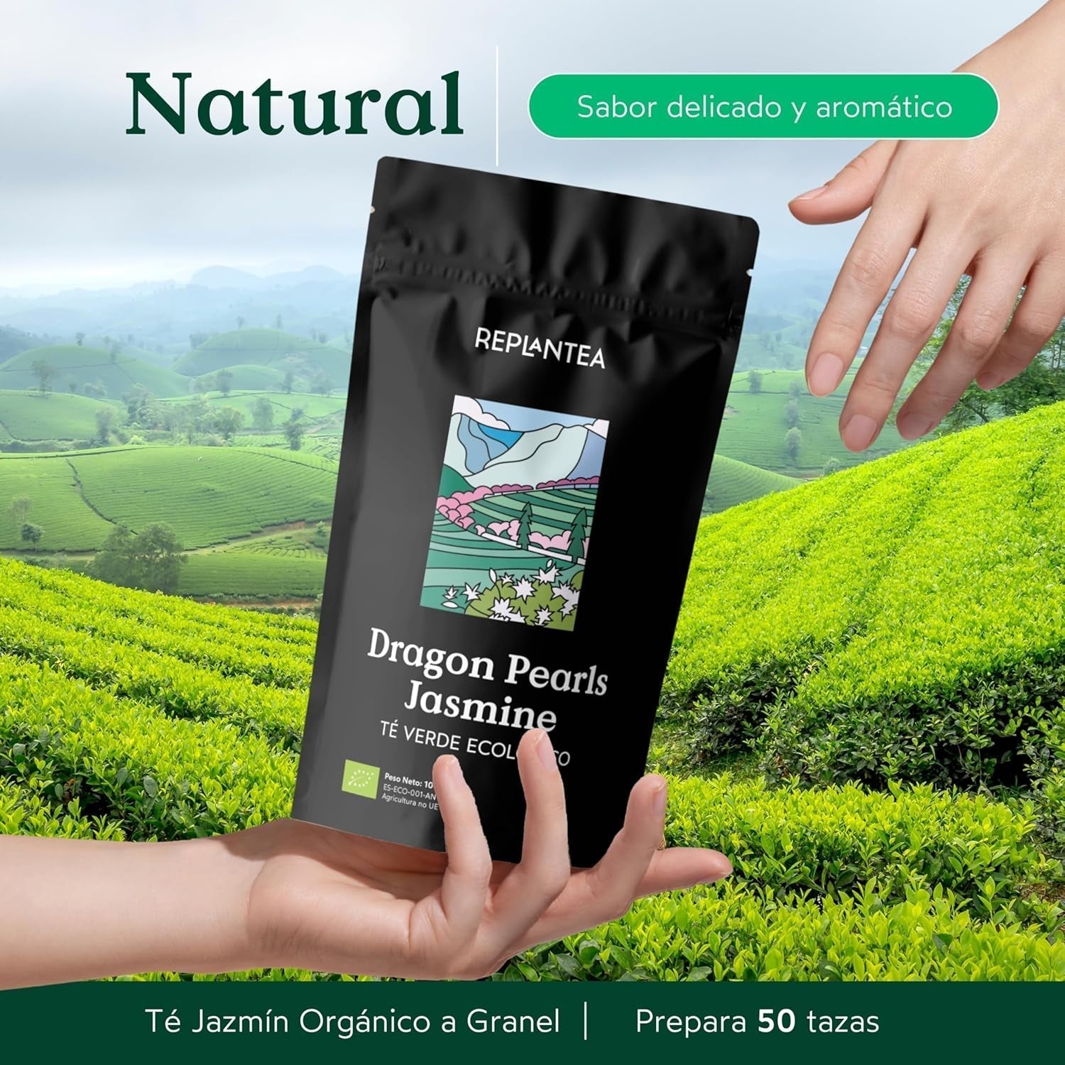 Tè biologico Jasmin Dragon Pearls (100 g) | Tè verde premium sotto forma di perle di gelsomino arrotolate a mano | Specialità di tè dal delicato aroma di fiori | RIPIANTARE
