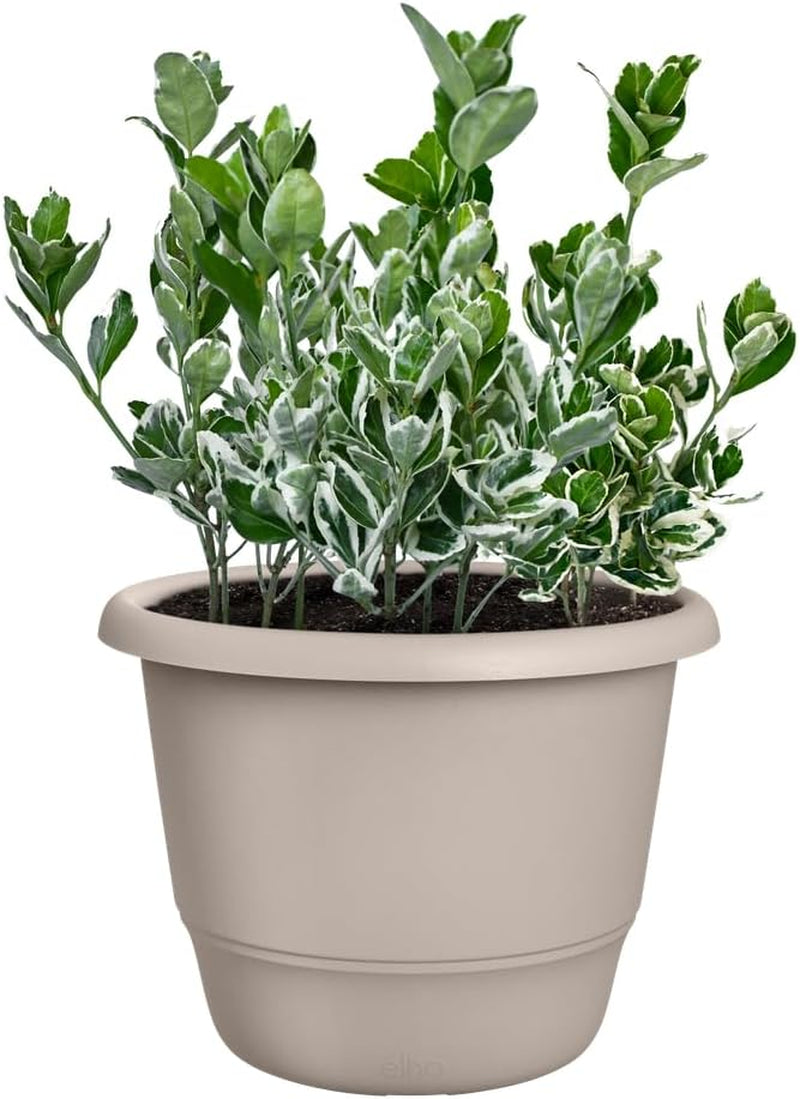 elho Amiga Round 30 - Vaso da fiori per interni ed esterni - 100% plastica riciclata - Ø 29,5 x H 20,2 cm - Beige/Beige fungo