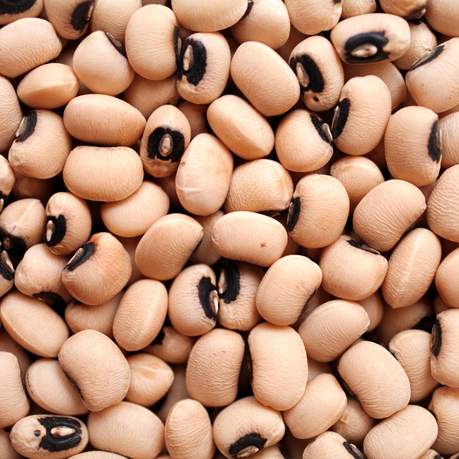 AFROASE - Fagioli dall'occhio - 1 x 1 kg