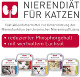 BEAPHAR - Dieta renale con pollo - Alimento completo per gatti con insufficienza renale cronica - Per supportare la funzionalità renale - 100 g