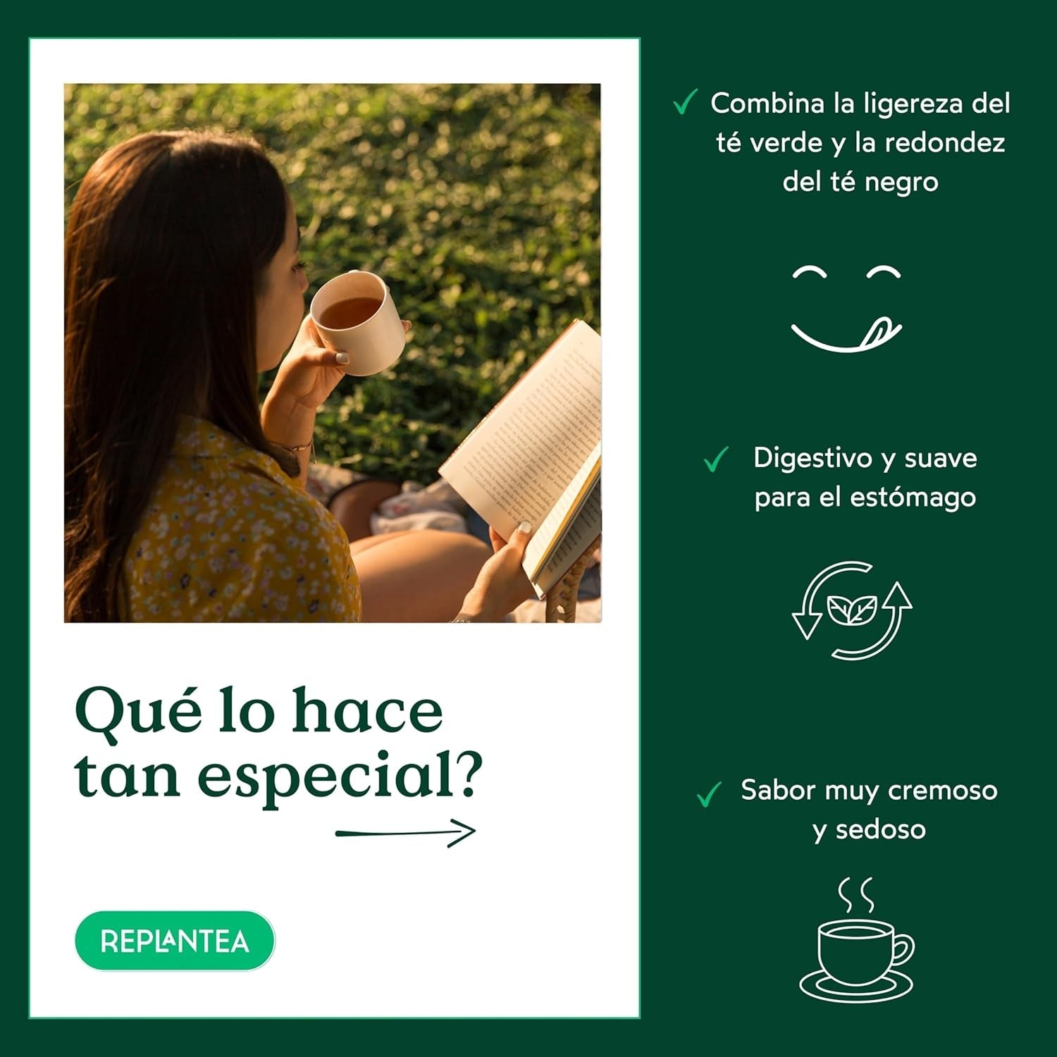 Tè Oolong al latte BIO (100 g) | Tè Oolong sfuso premium con note cremose e dolci di latte | Delicata specialità di tè | RIPIANTARE