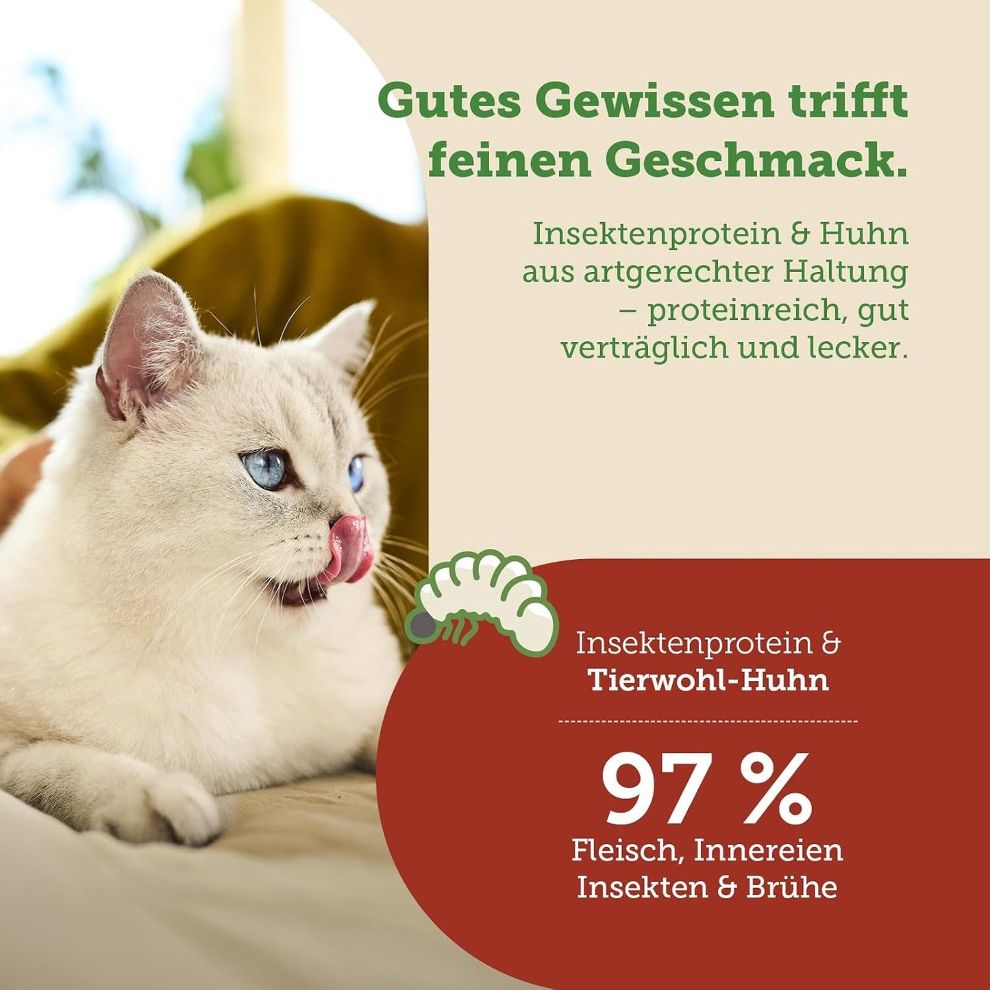 MERA Cats Nature Insect Premium Katzenfutter Nass 12x85g | ohne Zucker und Getreide| Nachhaltig & mit viel Insektenprotein | Katzennassfutter per adulti