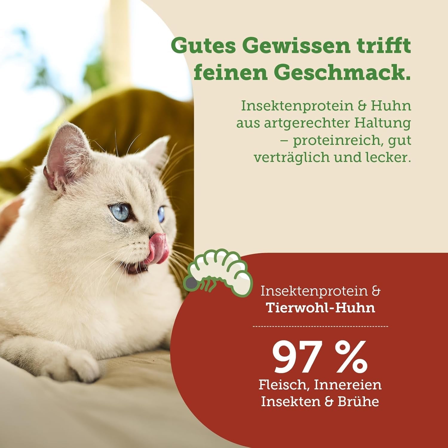 MERA Cats Nature Insect Premium Katzenfutter Nass 12x85g | ohne Zucker und Getreide| Nachhaltig & mit viel Insektenprotein | Katzennassfutter per adulti