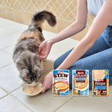 INABA Ciao Broth Cibo umido per gatti 88% di umidità e vitamina E, zuppa premium per gatti con pollo 40 g (confezione da 12), carne naturale al 100%, senza cereali, senza zucchero