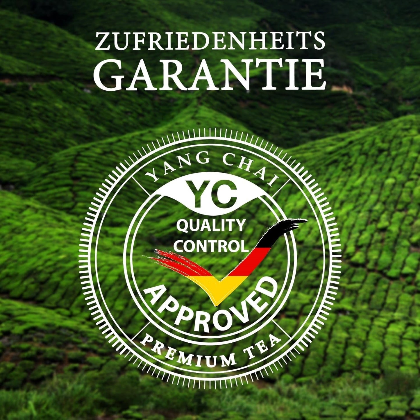 YC Yang Chai Sencha Green Tea BIO 250G - Tè giapponese sfuso al gusto di bergamotto - Tè verde giapponese originale "Dinastia Sencha" da coltivazione biologica controllata