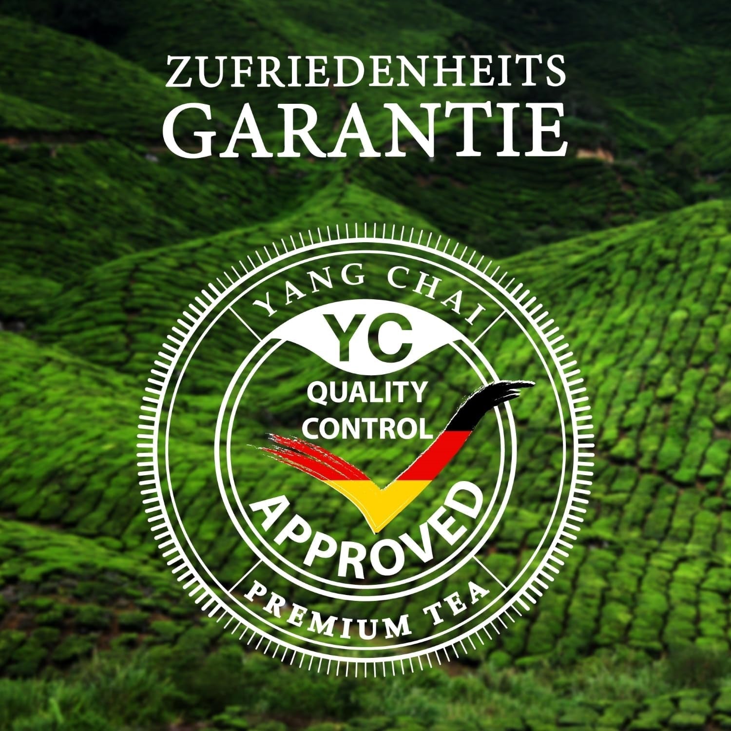 YC Yang Chai Sencha Green Tea BIO 250G - Tè giapponese sfuso al gusto di bergamotto - Tè verde giapponese originale "Dinastia Sencha" da coltivazione biologica controllata